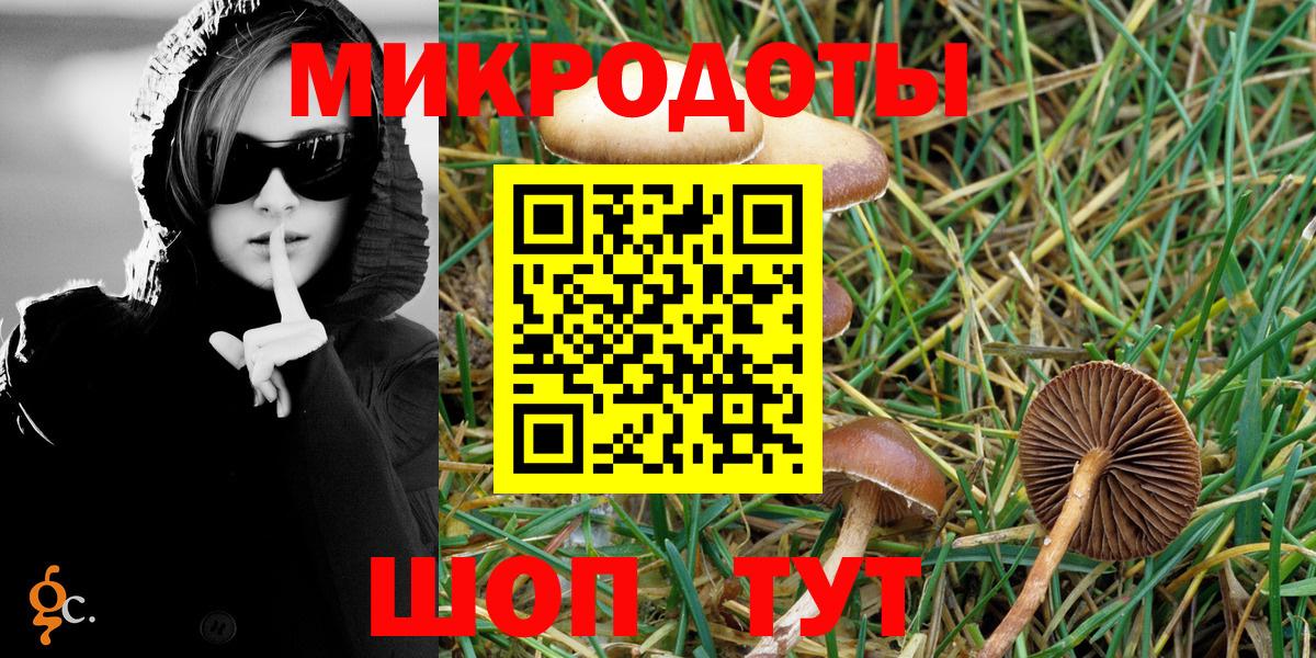 Псилоцибиновые грибы Psilocybe  Псилоцибиновые грибы GOLDEN TEACHER  Азнакаево  хочу наркоту  Вход с VPN 