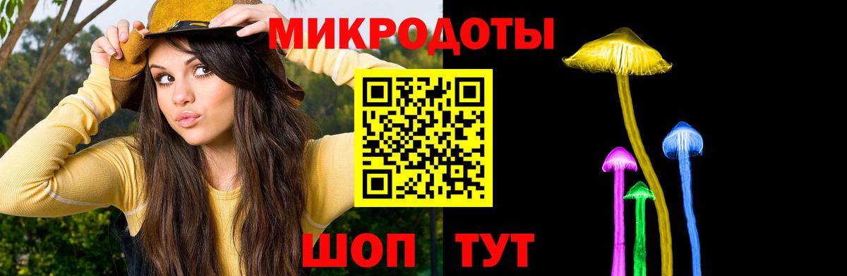 Псилоцибиновые грибы Psilocybine cubensis Азнакаево